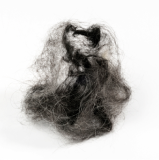 Pet hair