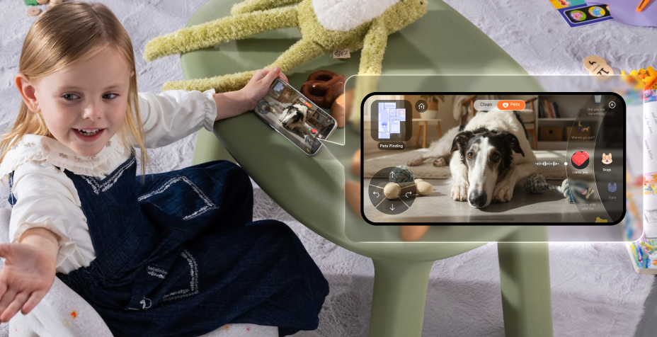 Real-Time Pets Finding