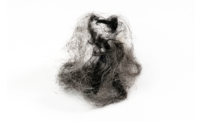 Pet hair