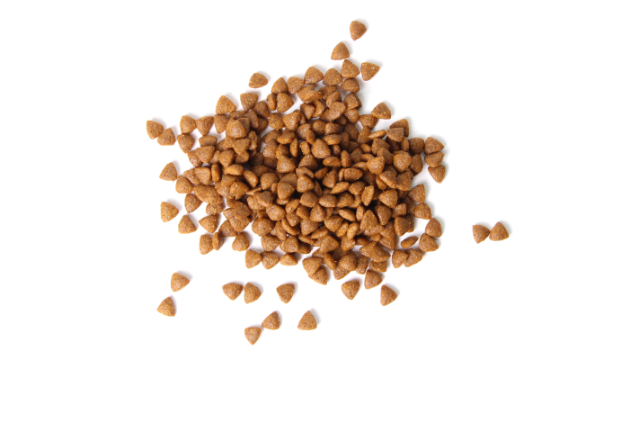 Cat & dog food